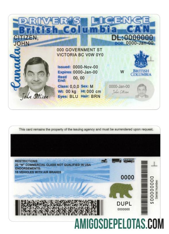 Nova versão da carteira de motorista da Colúmbia Britânica do Canadá amostra